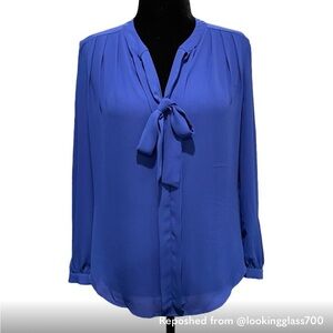 Pleione Women's Blue Blouse